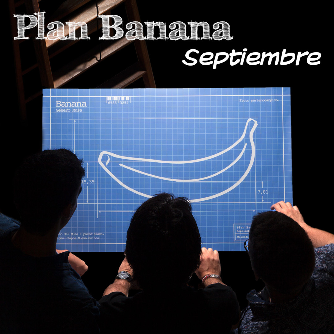 Álbum del grupo Plan Banana